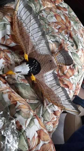 리뷰 사진