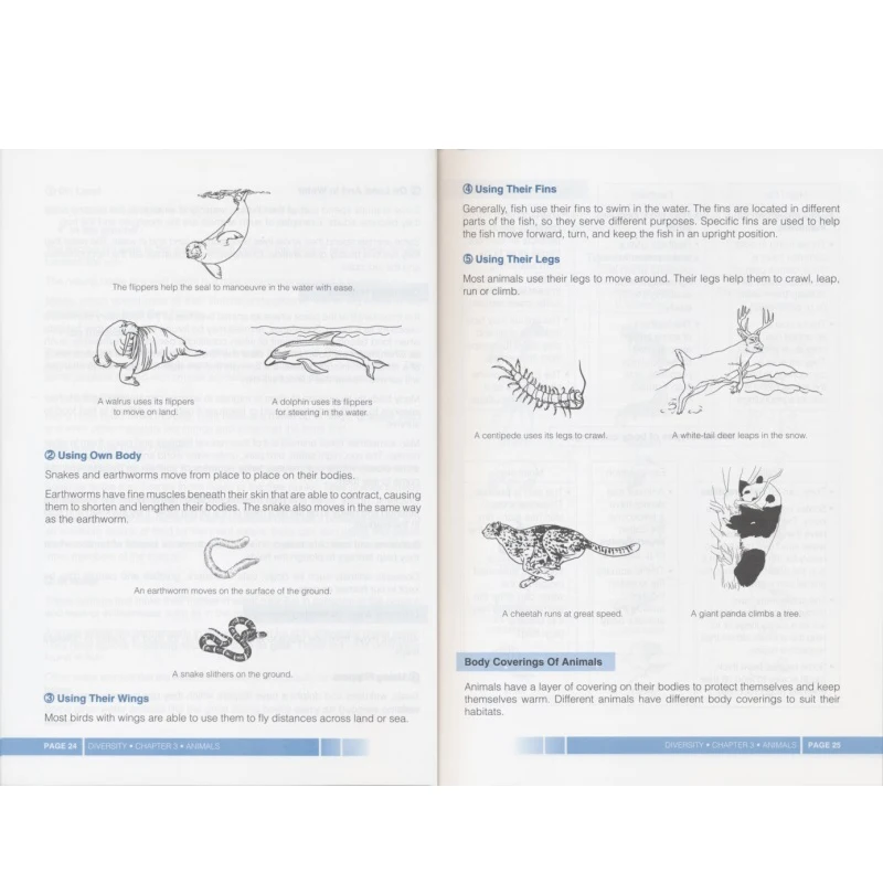 Libro de referencia completo para la escuela primaria, bloque inferior de ciencia, guía de ciencia savia, libro en inglés, 3-6 grados