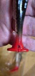 Imagen de reseña 4