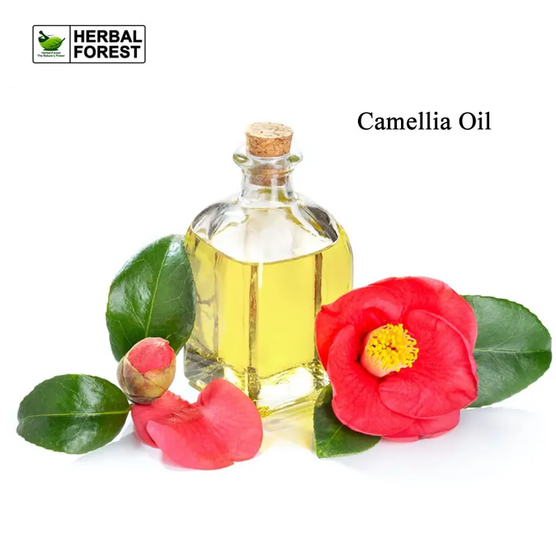 Natural Camellia Oil China Rich in Vitamins Antioxidant Increases Skin Elasticity Removes Wrinkles Increases Hair Shine Body Oil