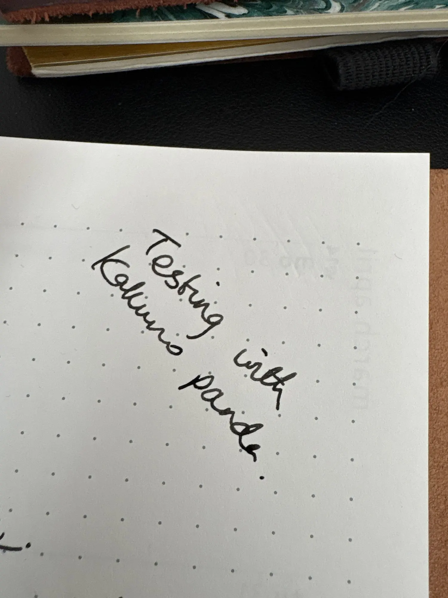 Customer review photo