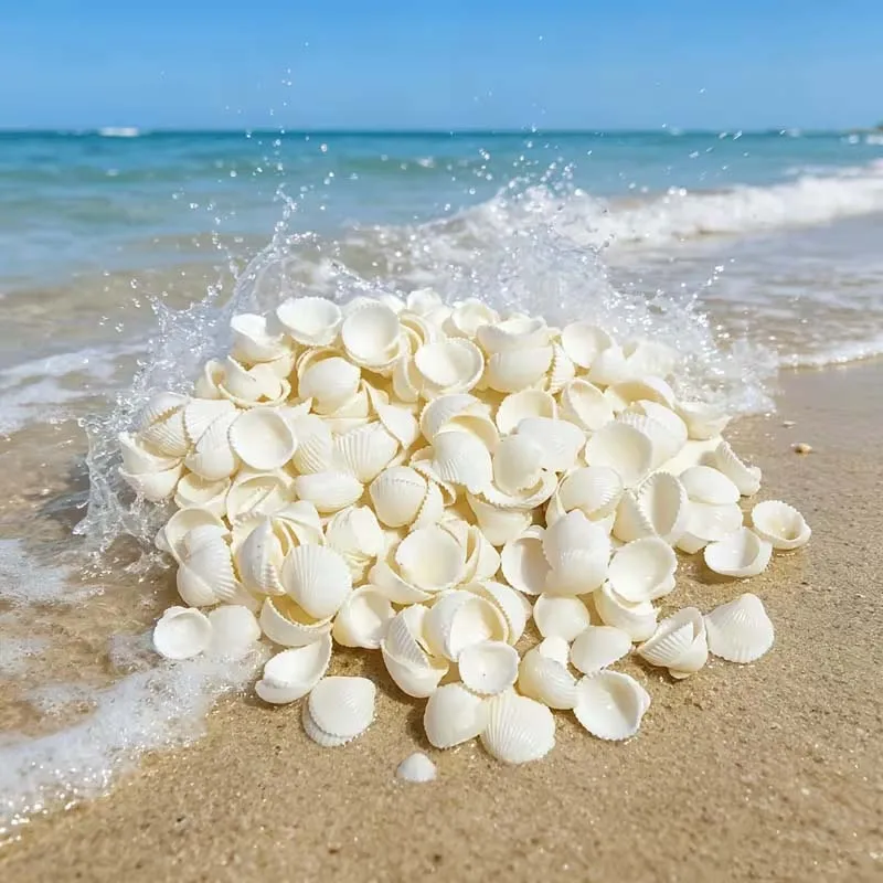 25pcs Sea Shells for Decorating,Tiny Seashells for Crafting Natural Scallop Shells for Crafts, Home Decor Vase Fillers White