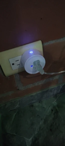 리뷰 사진