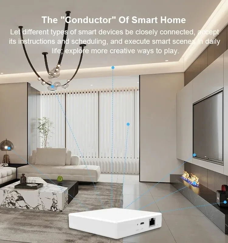 Matter ZigBee Gateway Hub Smart Home Ewelink Bridge Siri Homekit Smart Things Remote Control Alexa Google Home Voice Control