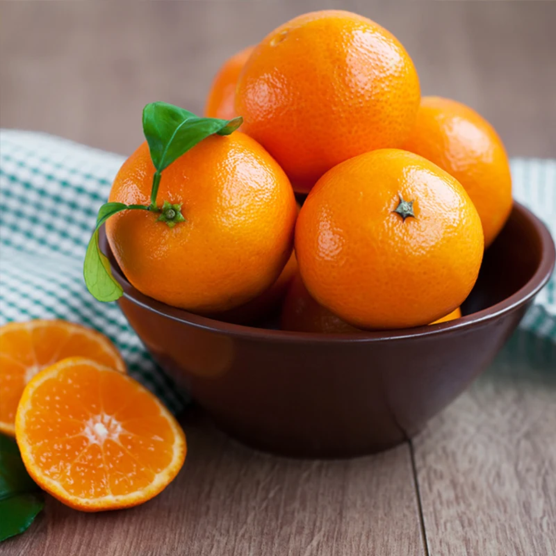 청정제주 새콤달콤 감귤 하우스 감귤