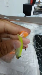 Imagen de reseña 2