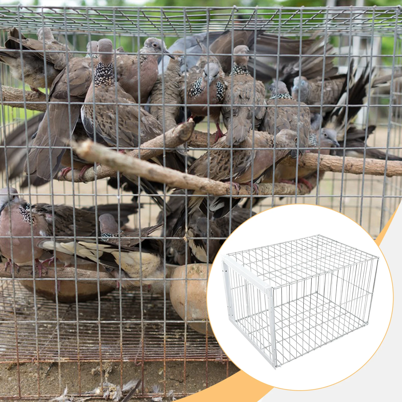 Thumbnail 2 - #23 Best Bird Cages to Buy In 2026
