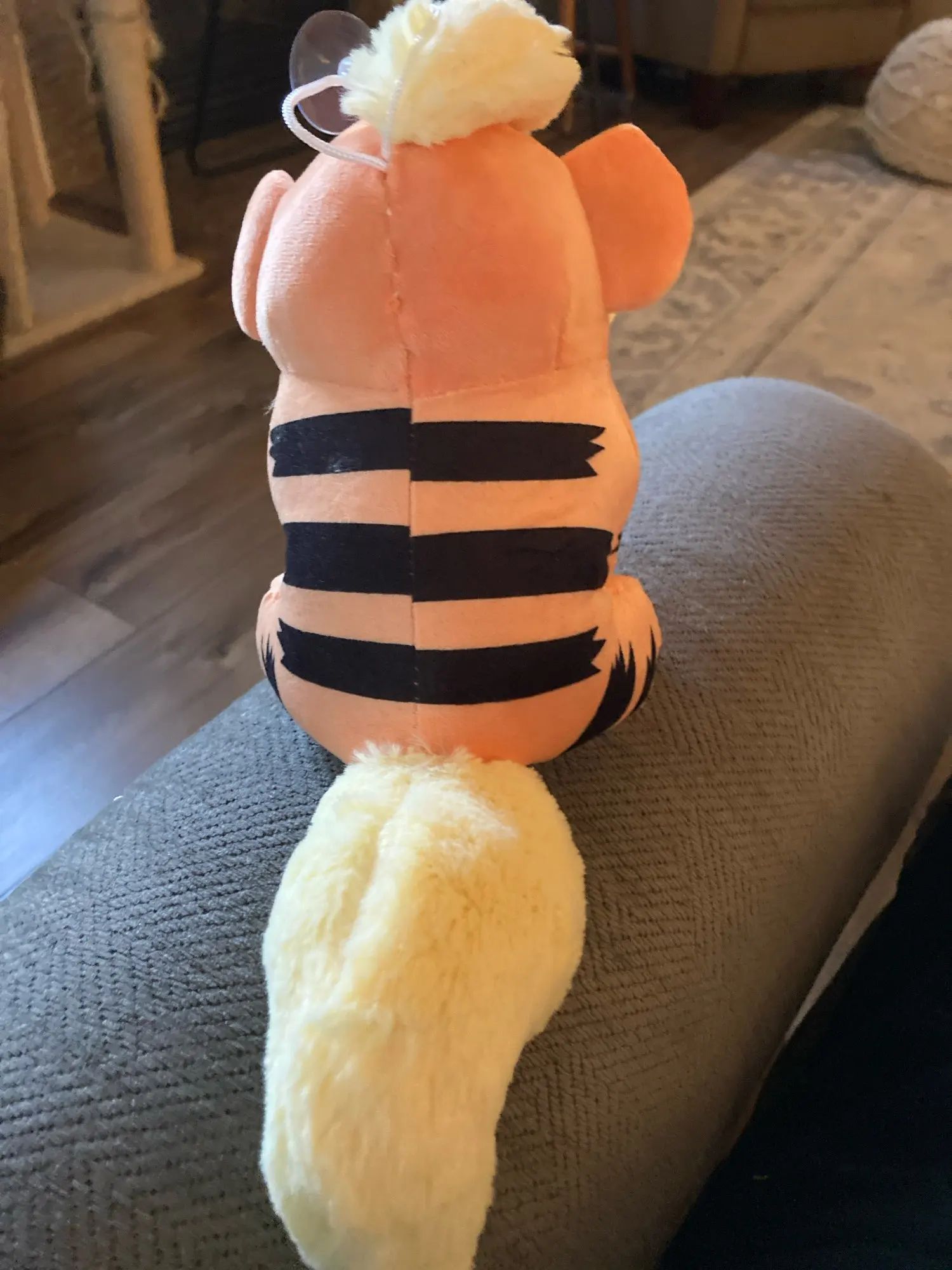 Customer review photo