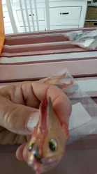 Imagen de reseña 5