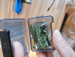 Imagen de reseña 1