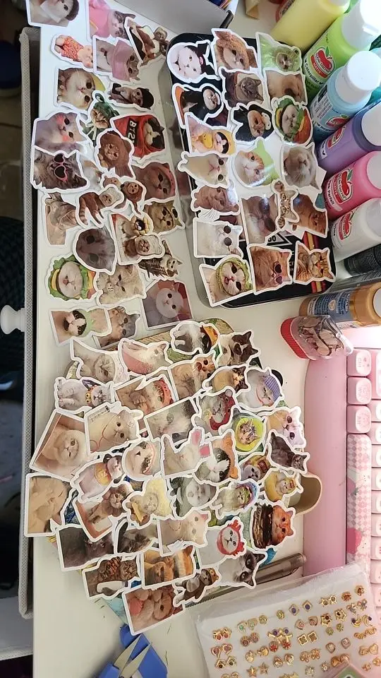 Customer review photo