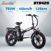 ChamRider DTS425 Ebike 48V25AH Battery 125KM Range 750W Power Best Value Choice for European Food Delivery Riders Electric Bike