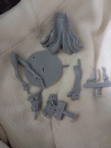 Buyer photo of this resin kit