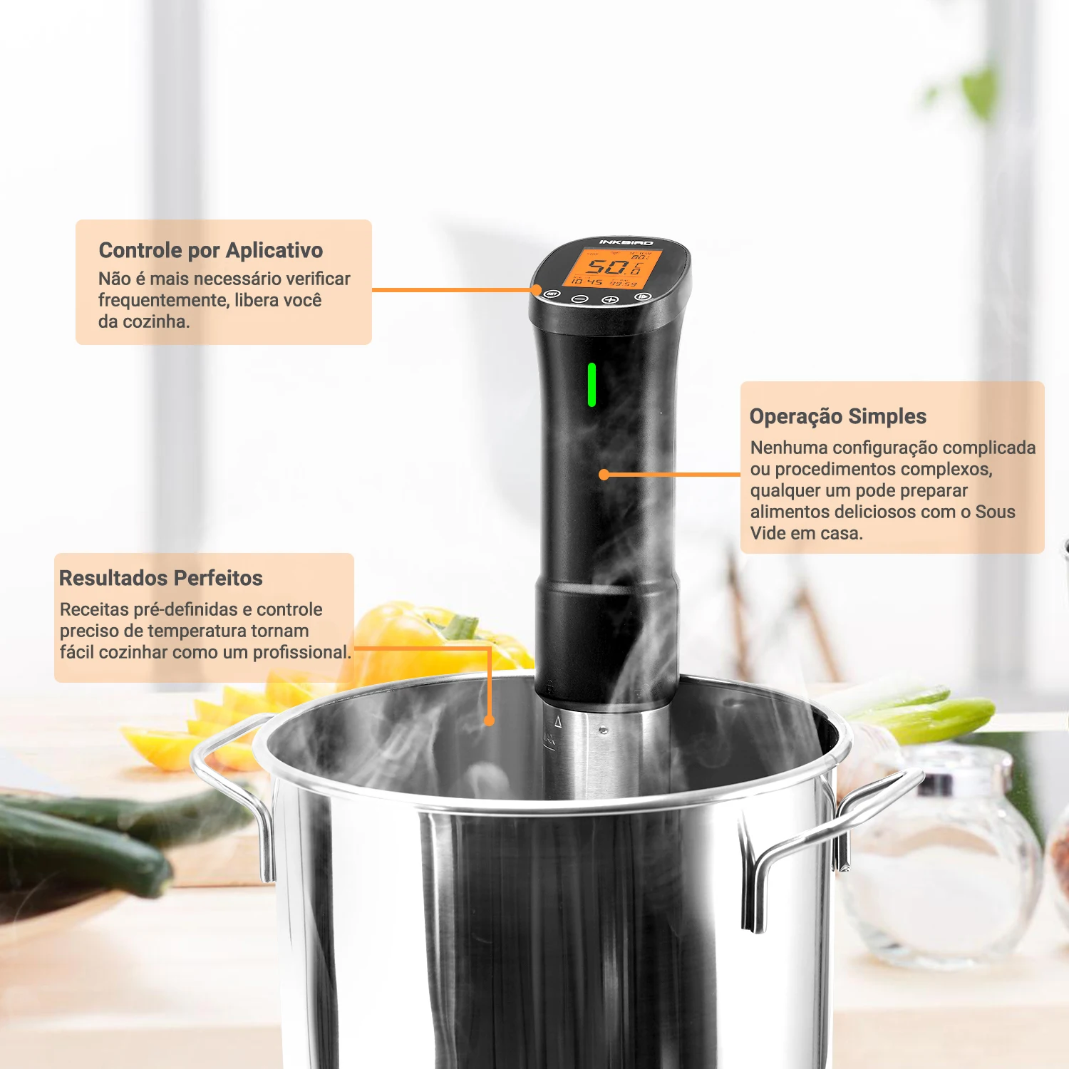 INKBIRD الطهي Sous Vide ISV-200W واي فاي طباخ دقيق قوي ودائم الغمر المروج مع مكونات الفولاذ المقاوم للصدأ