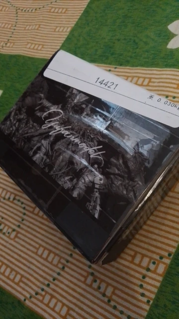 Buyer photo of this resin kit
