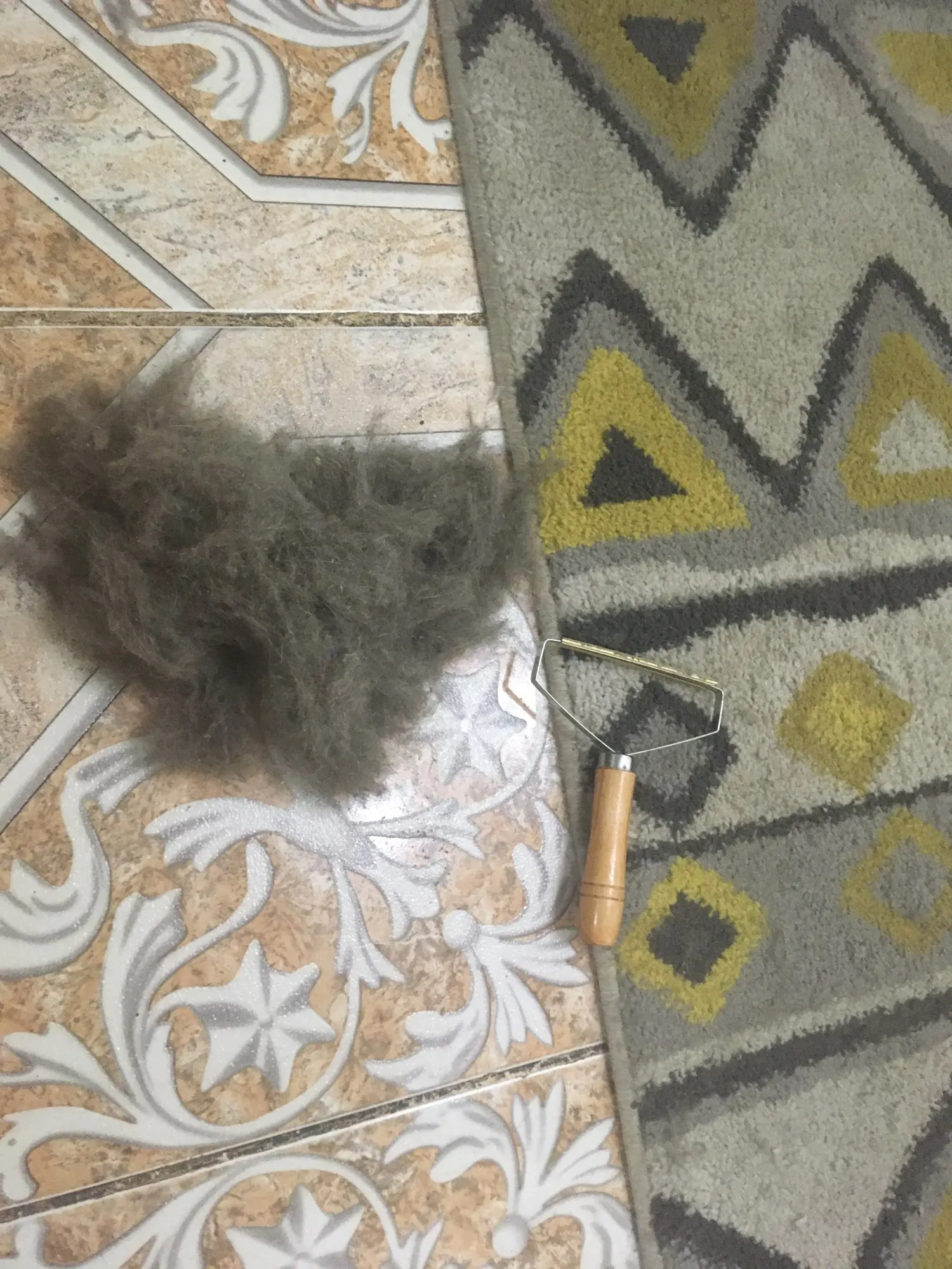 Customer review photo for Manual Pet Hair & Lint Remover Brush
