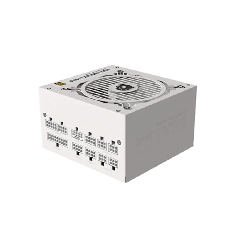 NEWZEN SKULL 850XM Full Modular ATX3.1 80PLUS Gold White