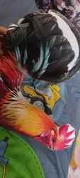 Imagen de reseña 4