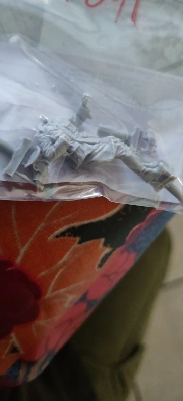 Buyer photo of this resin kit