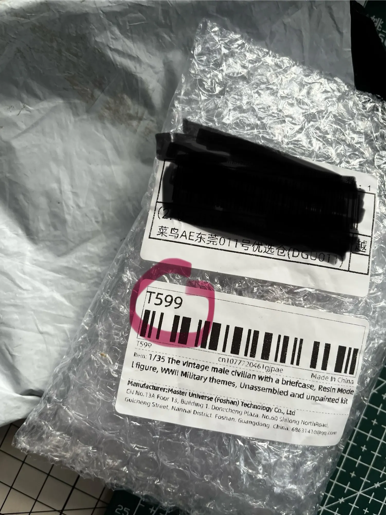 Buyer photo of this resin kit