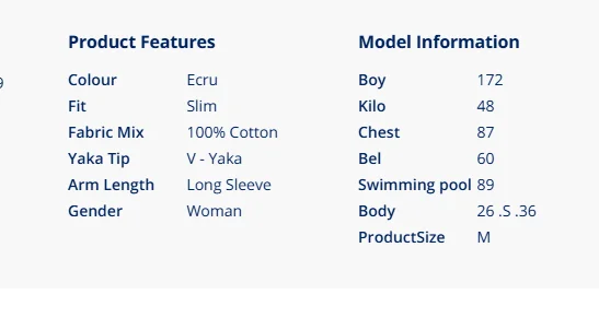 Women's Ecru Basic V Neck Sweater