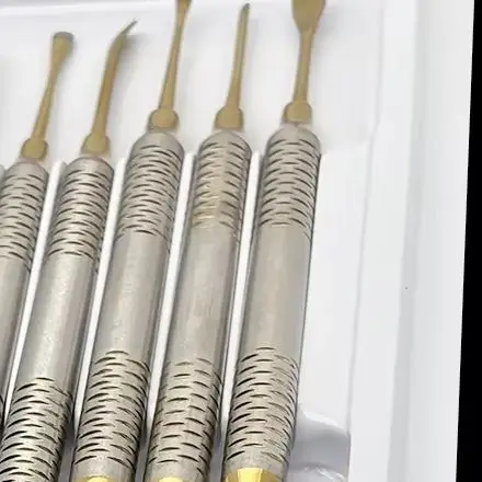 

10pcs Double Ends Dental Implant Periosteal Elevator Tool Stainless Steel Splitter Kit for Reflecting Retracting Surgery