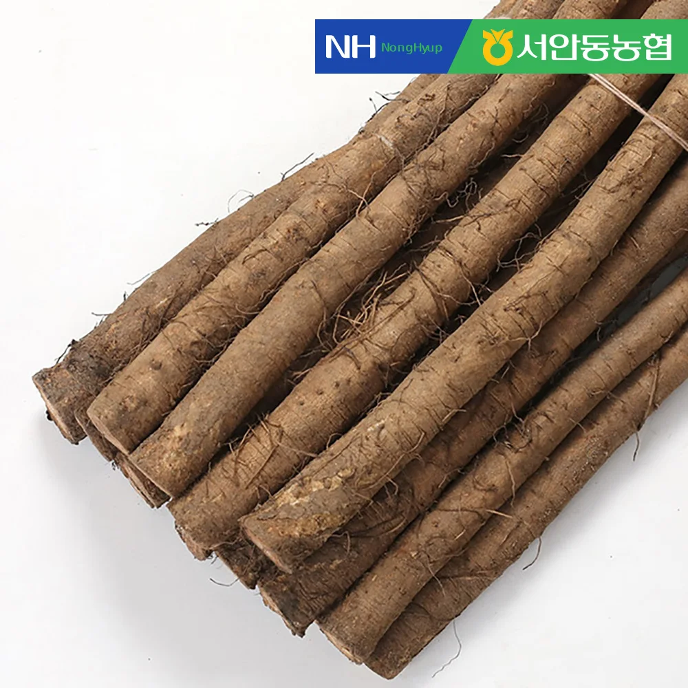 [Seo-Dong Agricultural Cooperatives] 2kg of domestic burdock Special Products