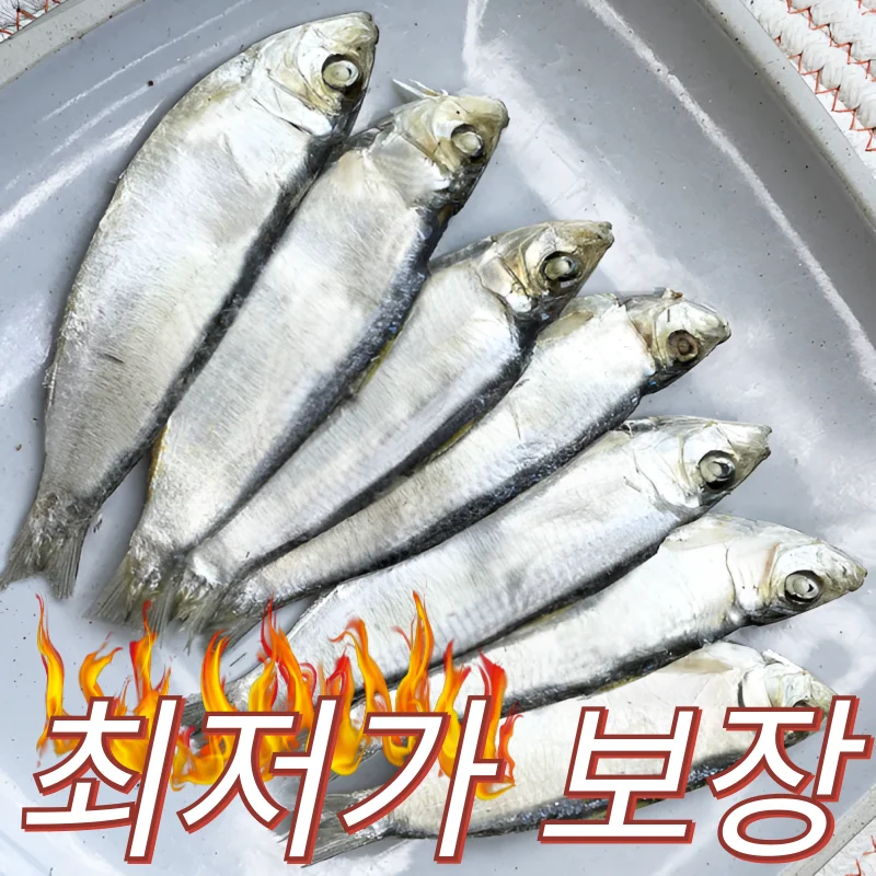 맛집 육수의 비밀! 최상품 AAA급 고급 디포리 밴댕이 (9cm ~ 11cm사이즈) 1.5kg