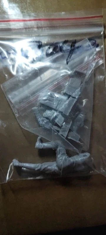 Buyer photo of this resin kit