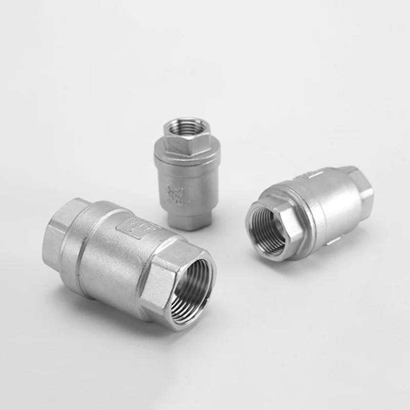 Válvula de retención unidireccional 1/4 "3/8" 1/2 "3/4" 1 "rosca hembra BSP Válvula de no retorno de acero inoxidable 304 para sellado de accesorios de tubería de bomba de agua