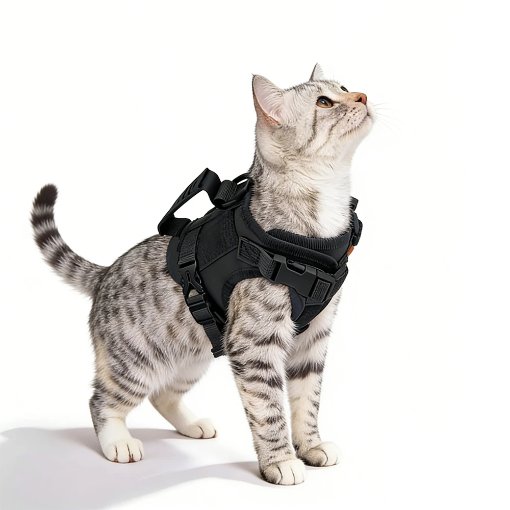 Taktisches Katzengeschirr, ausbruchsicher, verstellbare Weste im Militärstil, bequem für Katzen, Welpen, Outdoor-Spaziergänge, Training – Detail 1