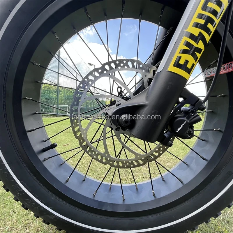 Bicicleta Elétrica Lantu de Alta Qualidade 20 Polegadas 800W Dobrável com Sensor de Torque