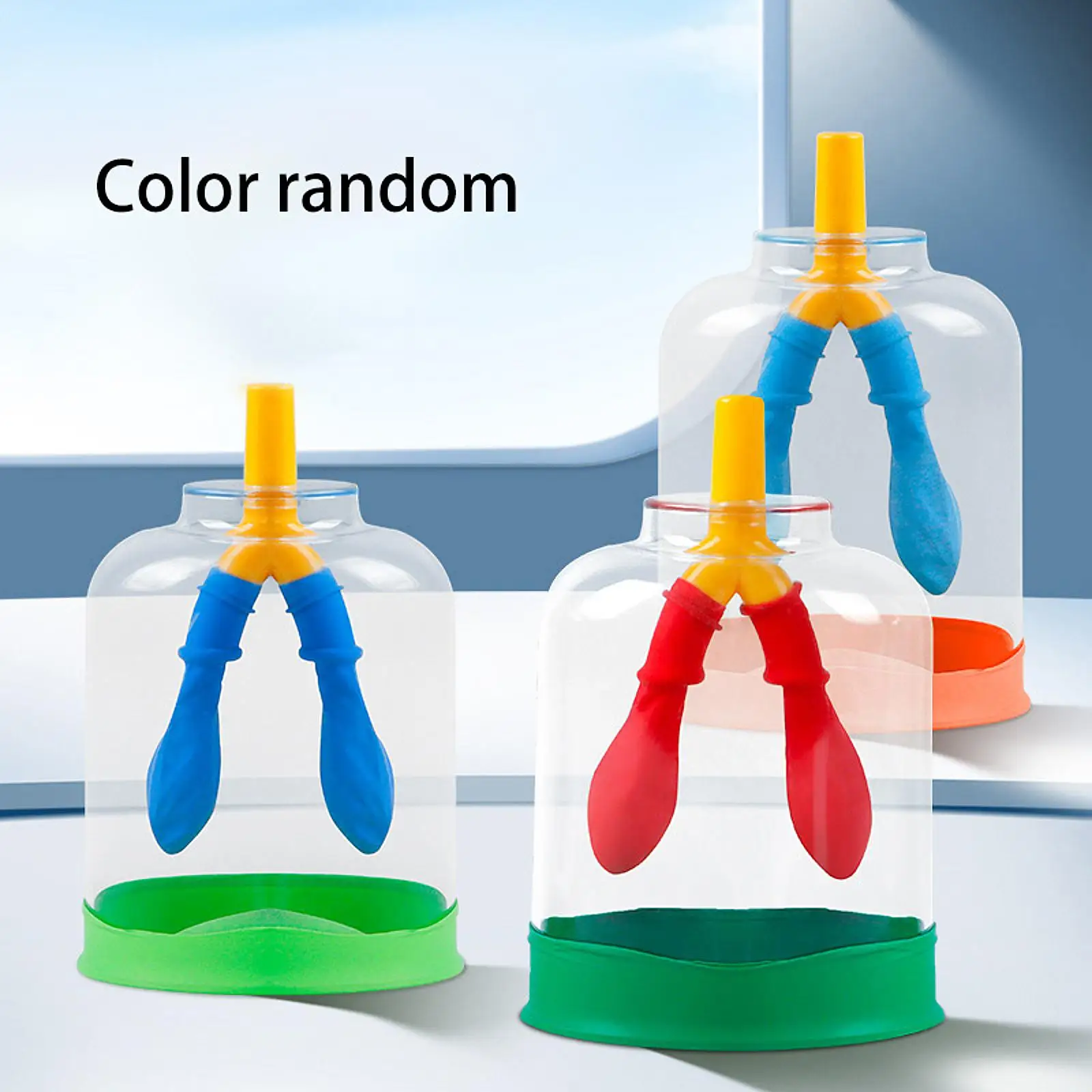 Lung Demonstration Model Lung Respiration Model Educational Demonstrations Science Learning Teaching Aid for School Children
