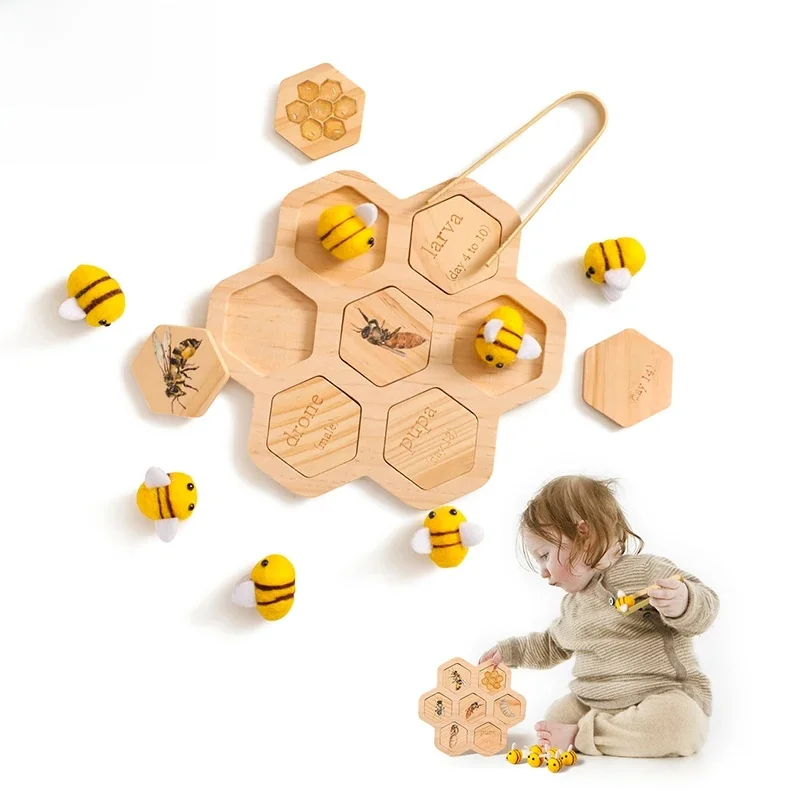 AliExpress bite bites Montessori Bee Growth Cycle Toy Multifunctional Sorting Educational Toys Wooden Learning Board Toys for Kids Montessori Toys