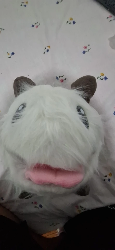 리뷰 사진
