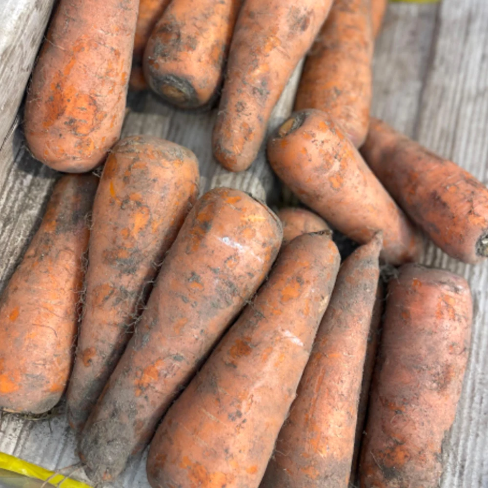 3kg of soil carrots for domestic juice