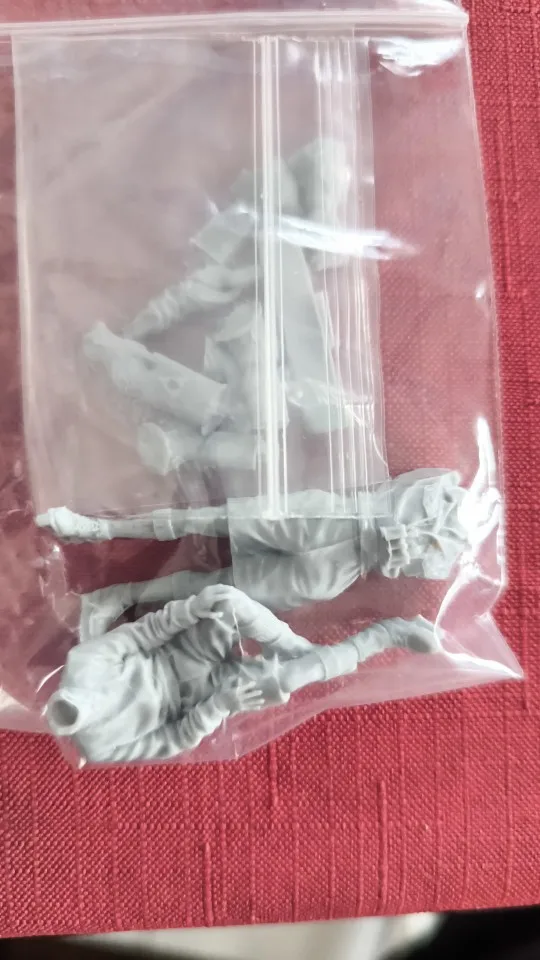 Buyer photo of this resin kit