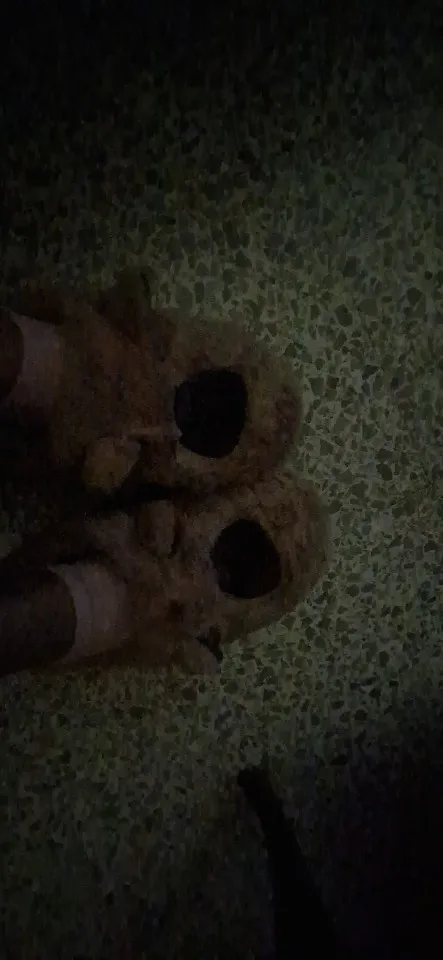 리뷰 사진