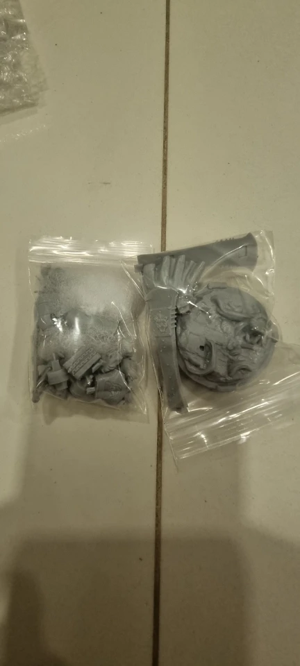 Buyer photo of this resin kit