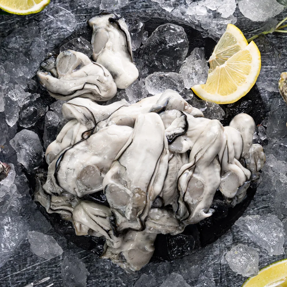 통영 산지 직송 생굴 1kg