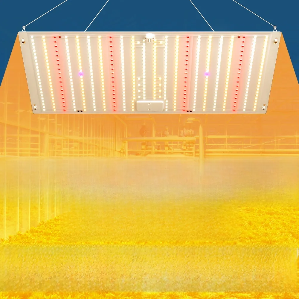 200W LED Full Spectrum Quantum Board Plant Grow Light Flower Seed Indoor Hydroponic Greenhouse Vegetable Cultivation Growth Lamp