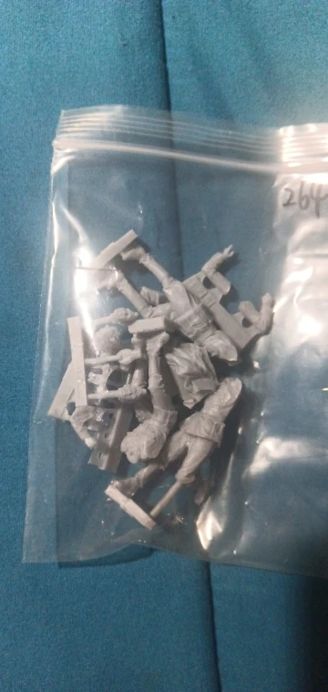 Buyer photo of this resin kit