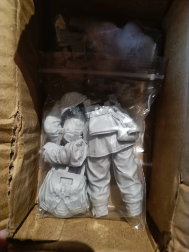Buyer photo of this resin kit
