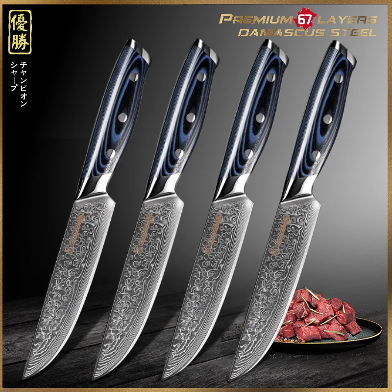 

Damascus Steak Knife Set 4 Pcs Chef's Kitchen Knives 67 Layers VG10 Japanese Damascus Stainless Steel Cutlery BBQ Cooking Tools