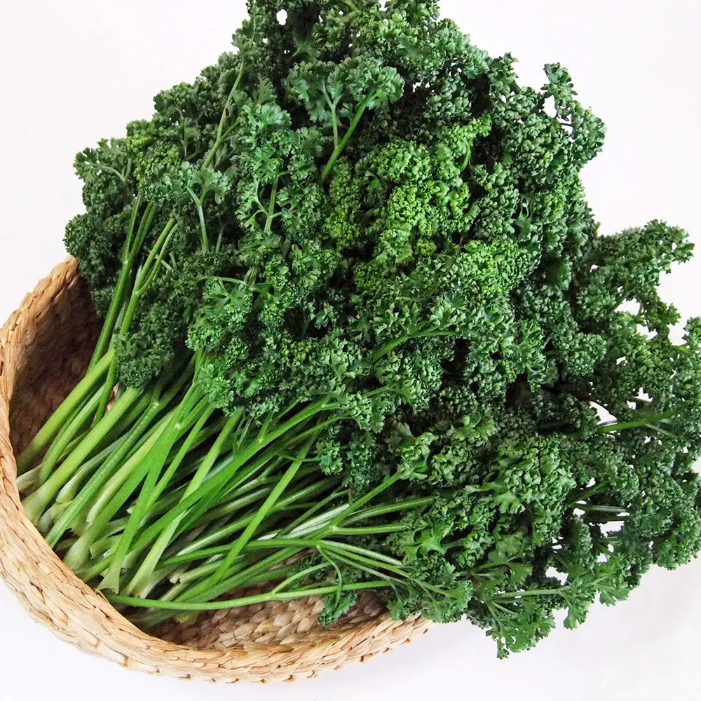 [Sansan village] 300g of domestic parsley 600g