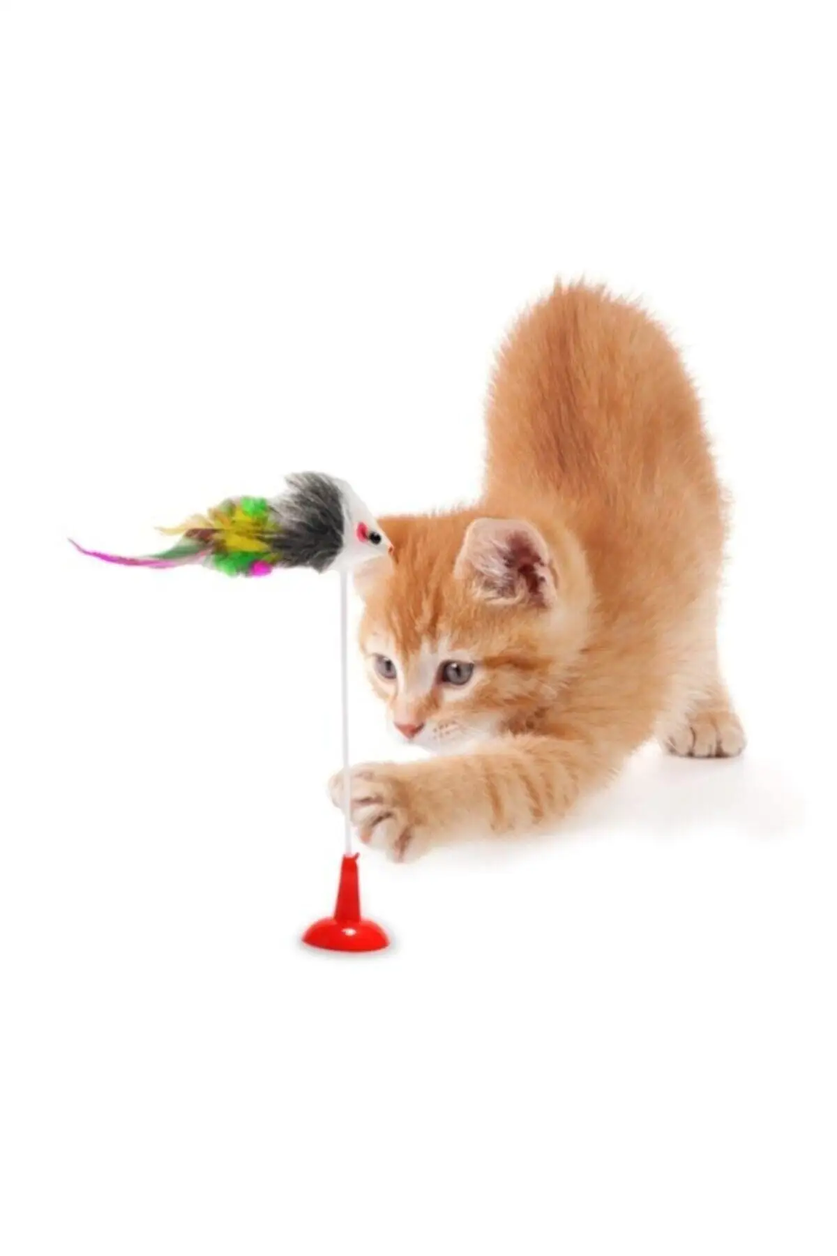 Pet Cat Toy Stick Feather Rod Mouse Toy con Mini Bell Cat Catcher Teaser Interactive Cat Toy Kitten