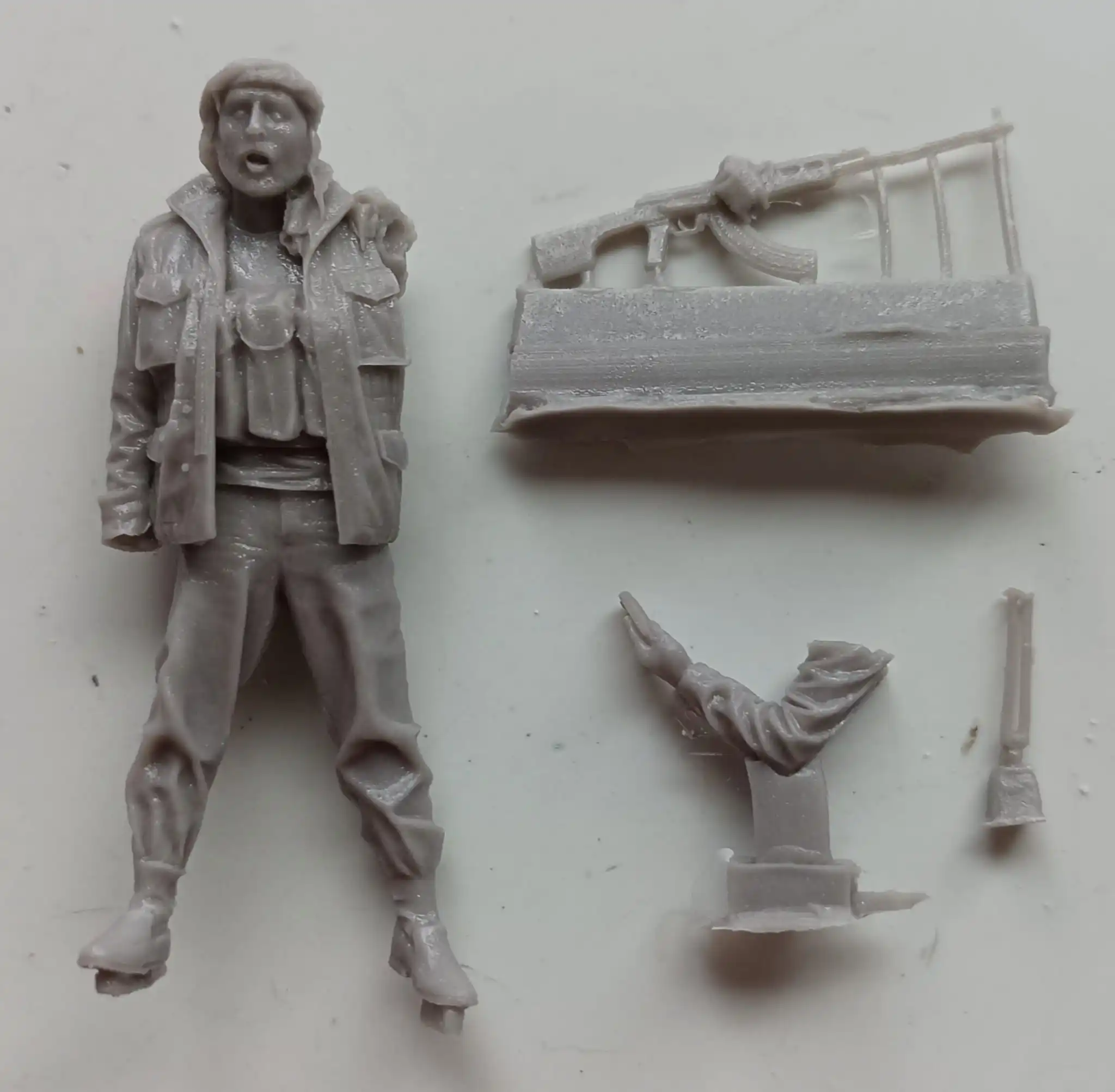Buyer photo of this resin kit