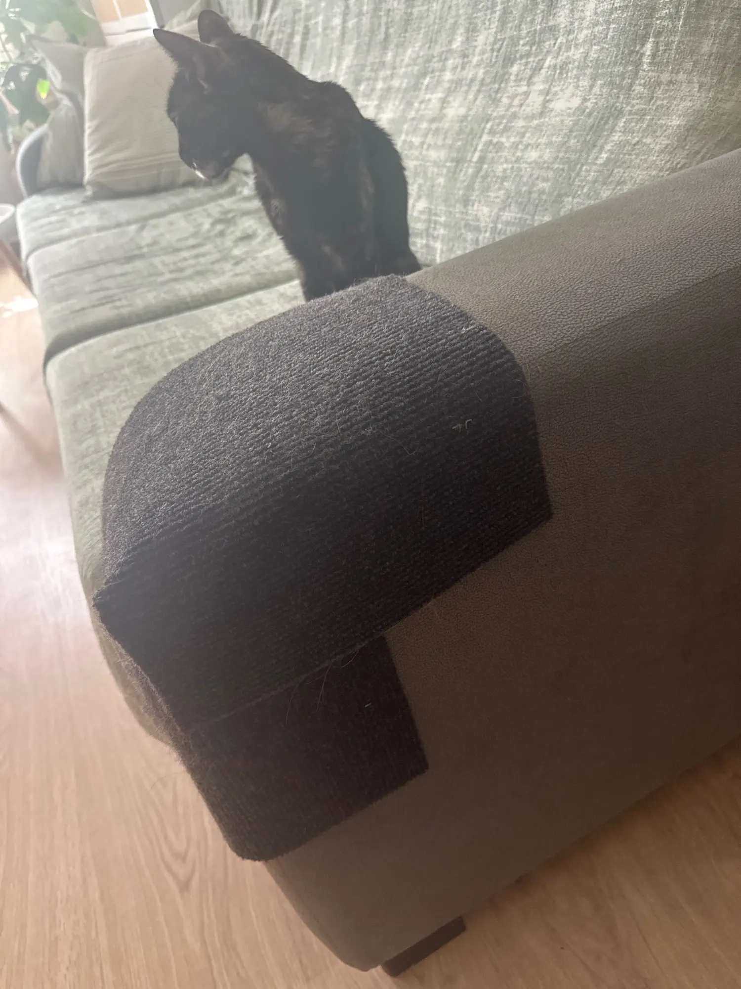 Customer review photo for Self-Adhesive Cat Scratch Furniture Protector