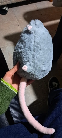 실물 포토 리뷰