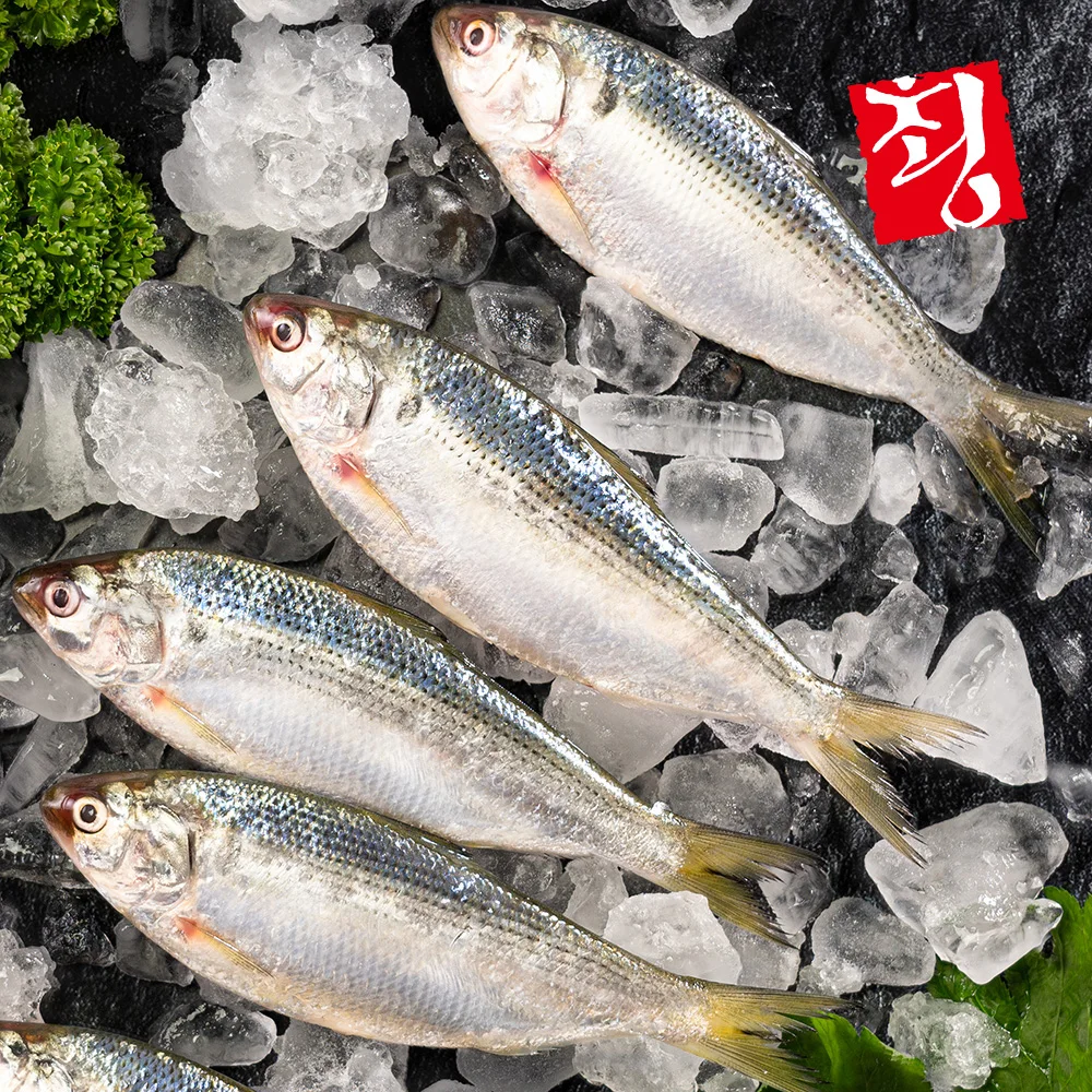 고소한 풍미 남해안 자연산 전어(구이용) 1kg(15미내외)